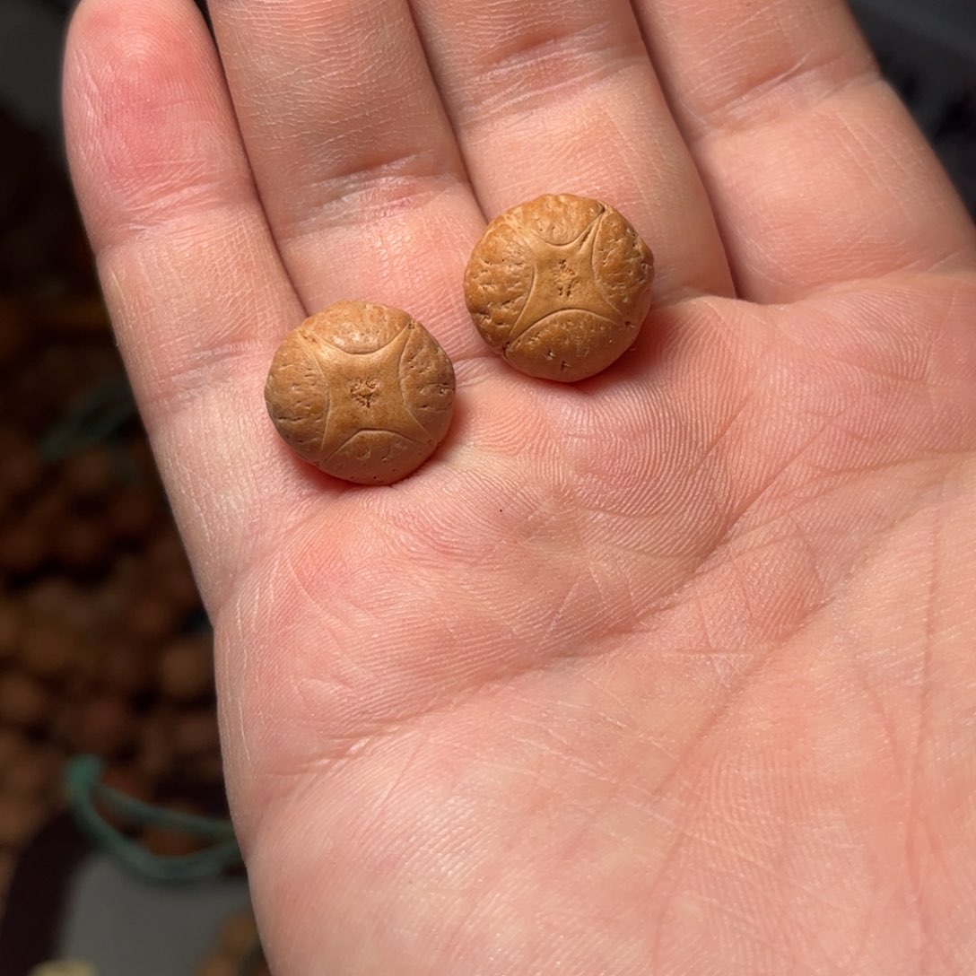 桃核吊坠16mm麒麟眼，开孔不退，偏远不包