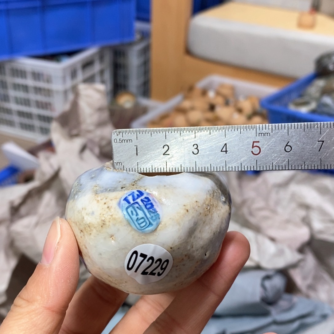 花盆拍3送一个小礼物