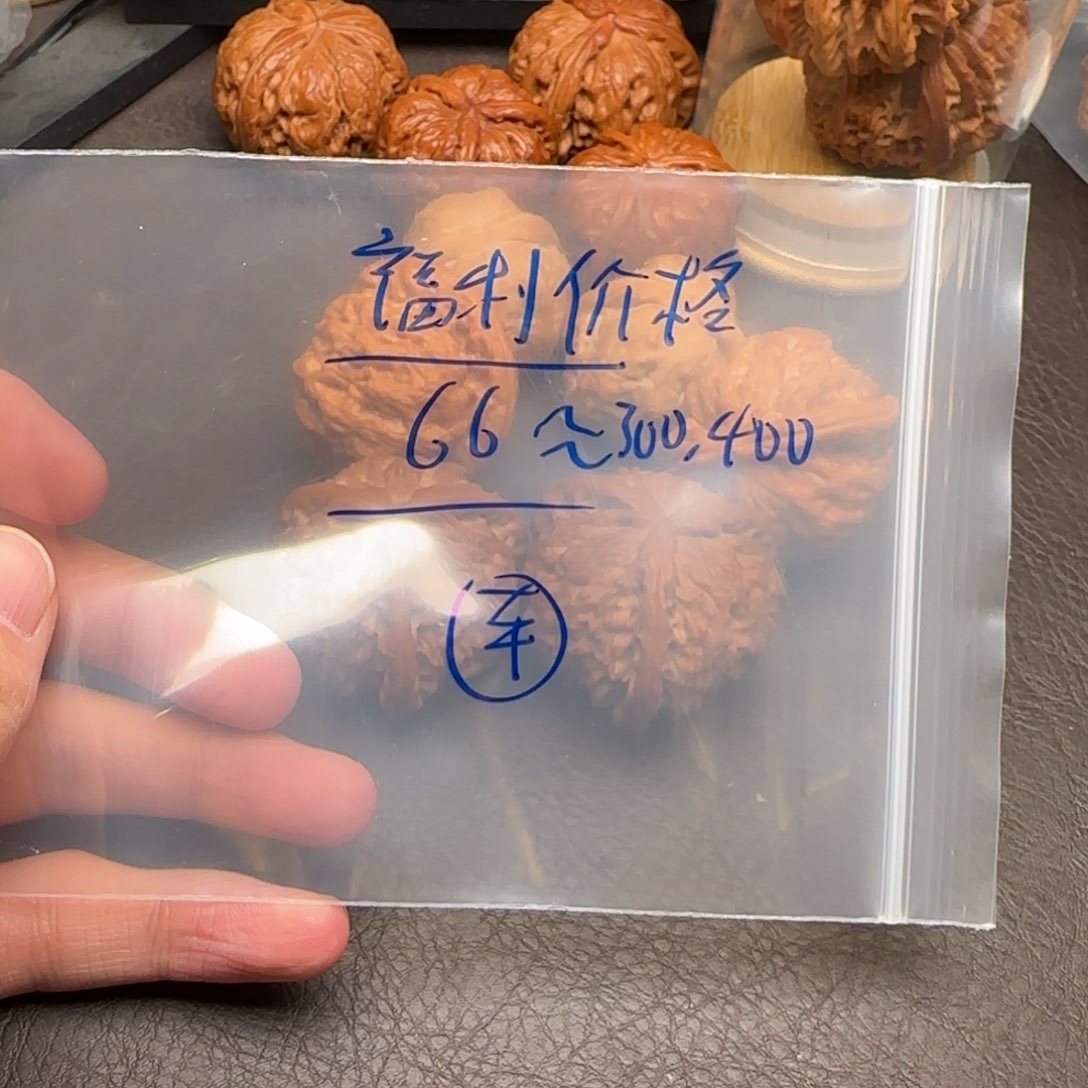 白狮子奔向了一个小