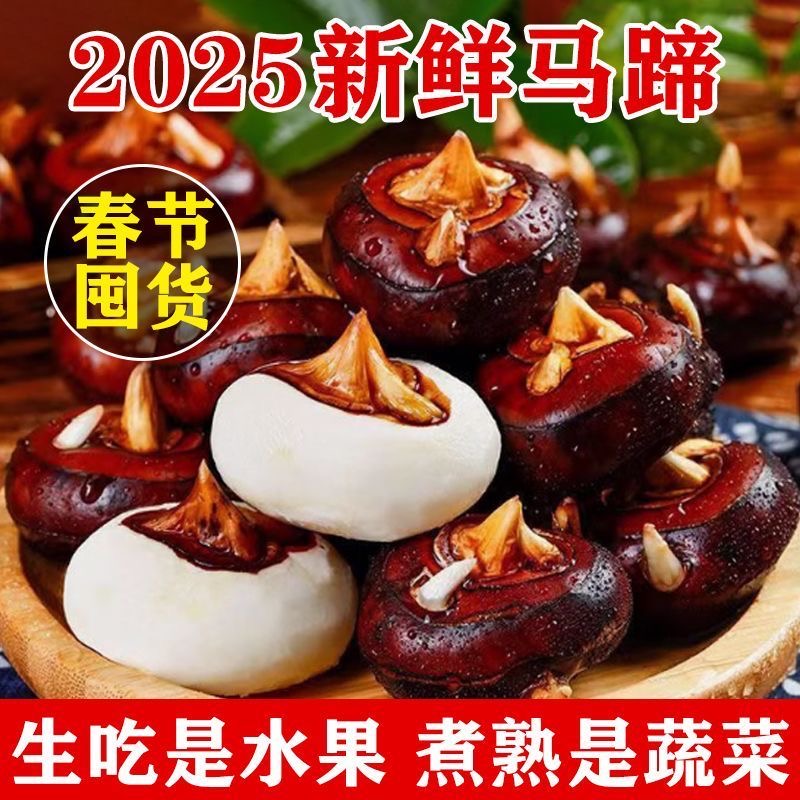 新鲜现挖马蹄清甜脆爽多汁当季水果荸荠应季水果多汁超甜脆香马蹄