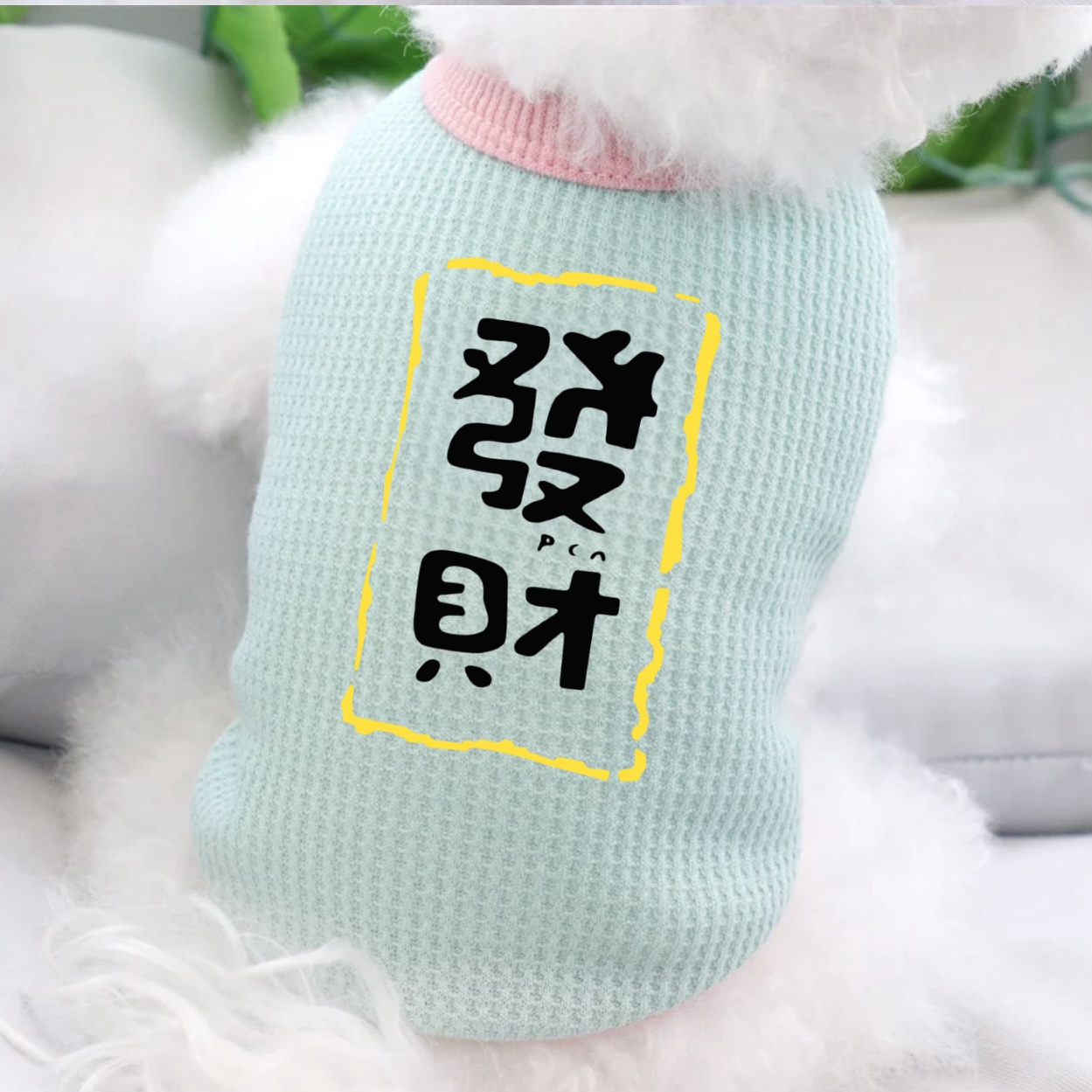 夏季宠物背心猫猫咪薄款雪纳瑞比熊博美贵宾泰迪小型幼犬狗狗衣服
