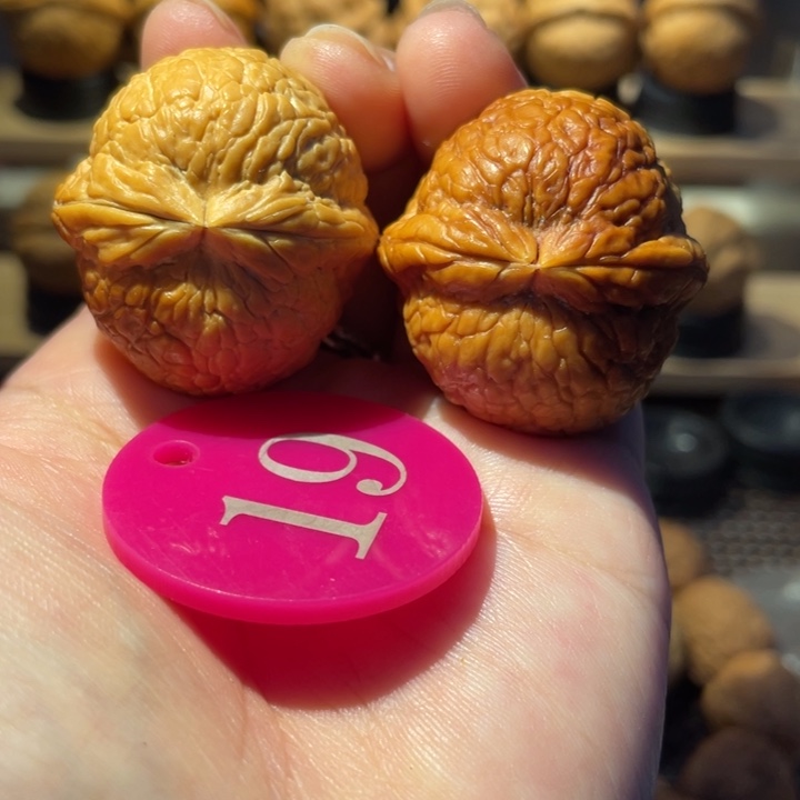 铁核桃大西瓜36尺