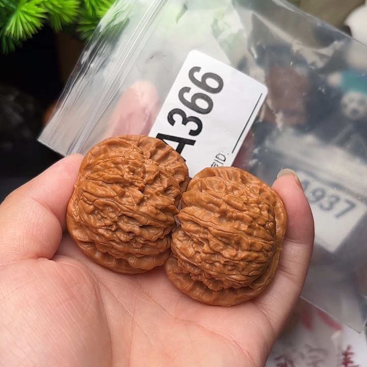 桃核把件核桃白狮子44