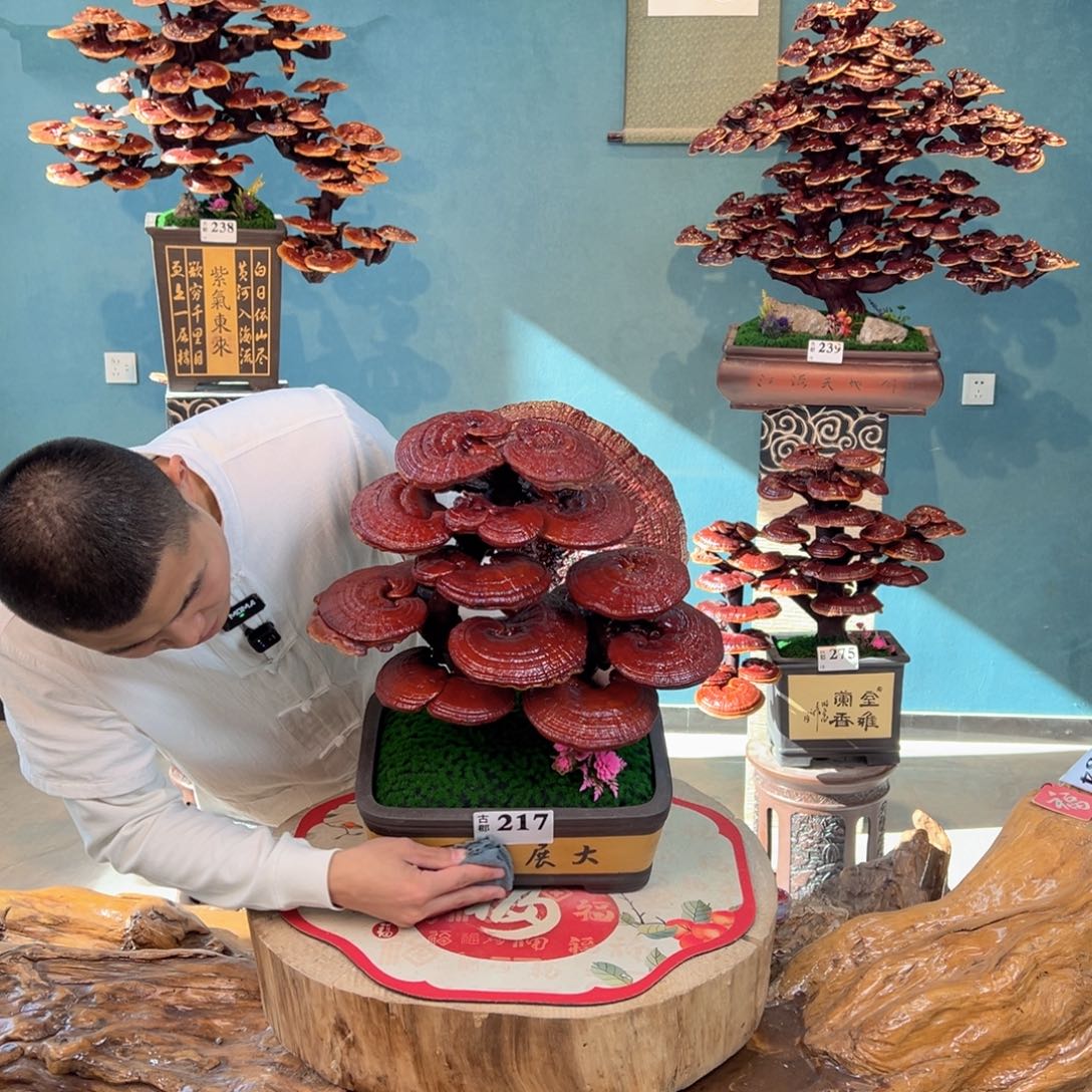 无花朵88888868888