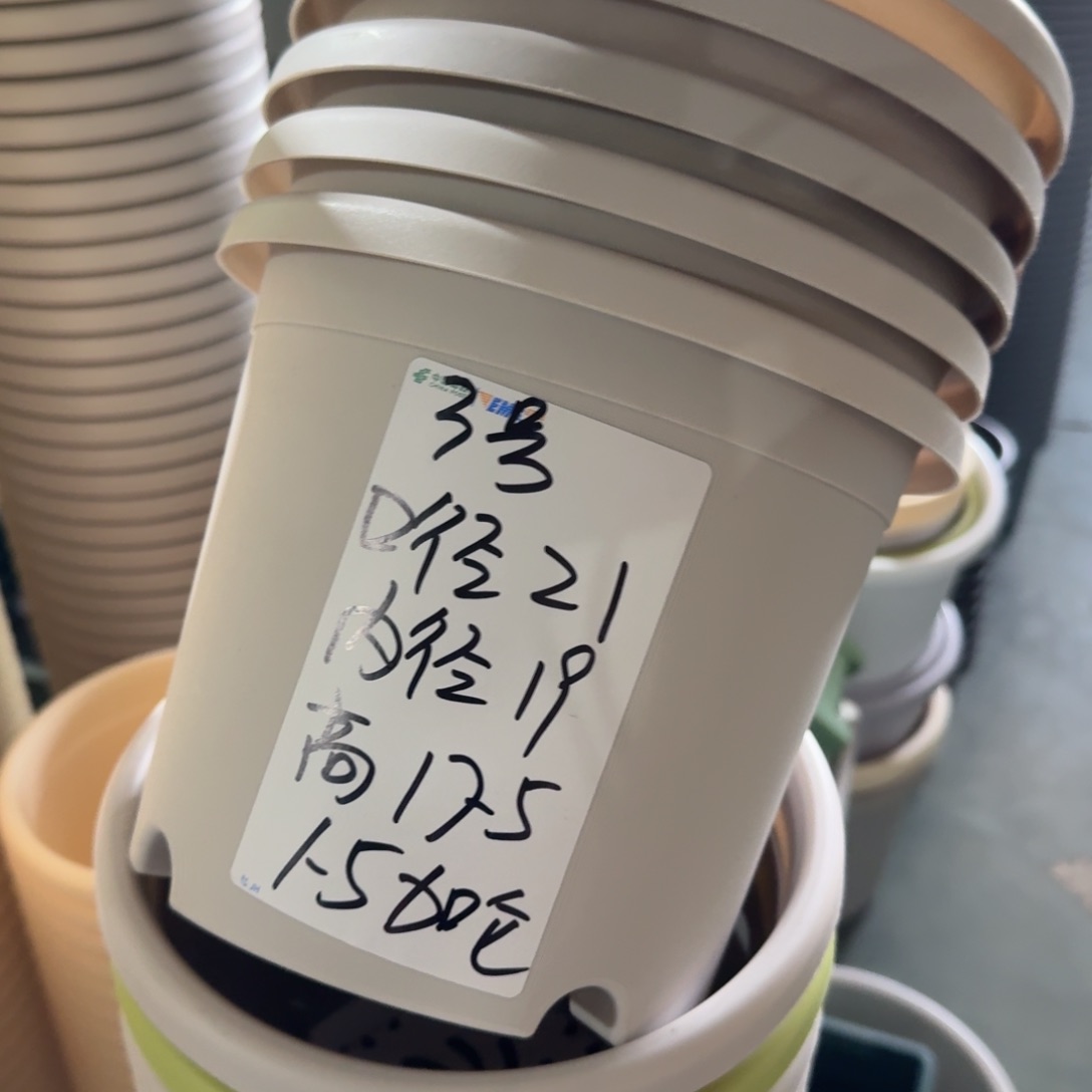 四季3#无拖灰白10个