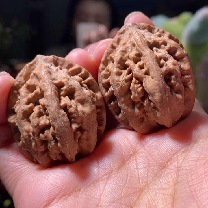 把件文玩核桃东北楸子小路 165