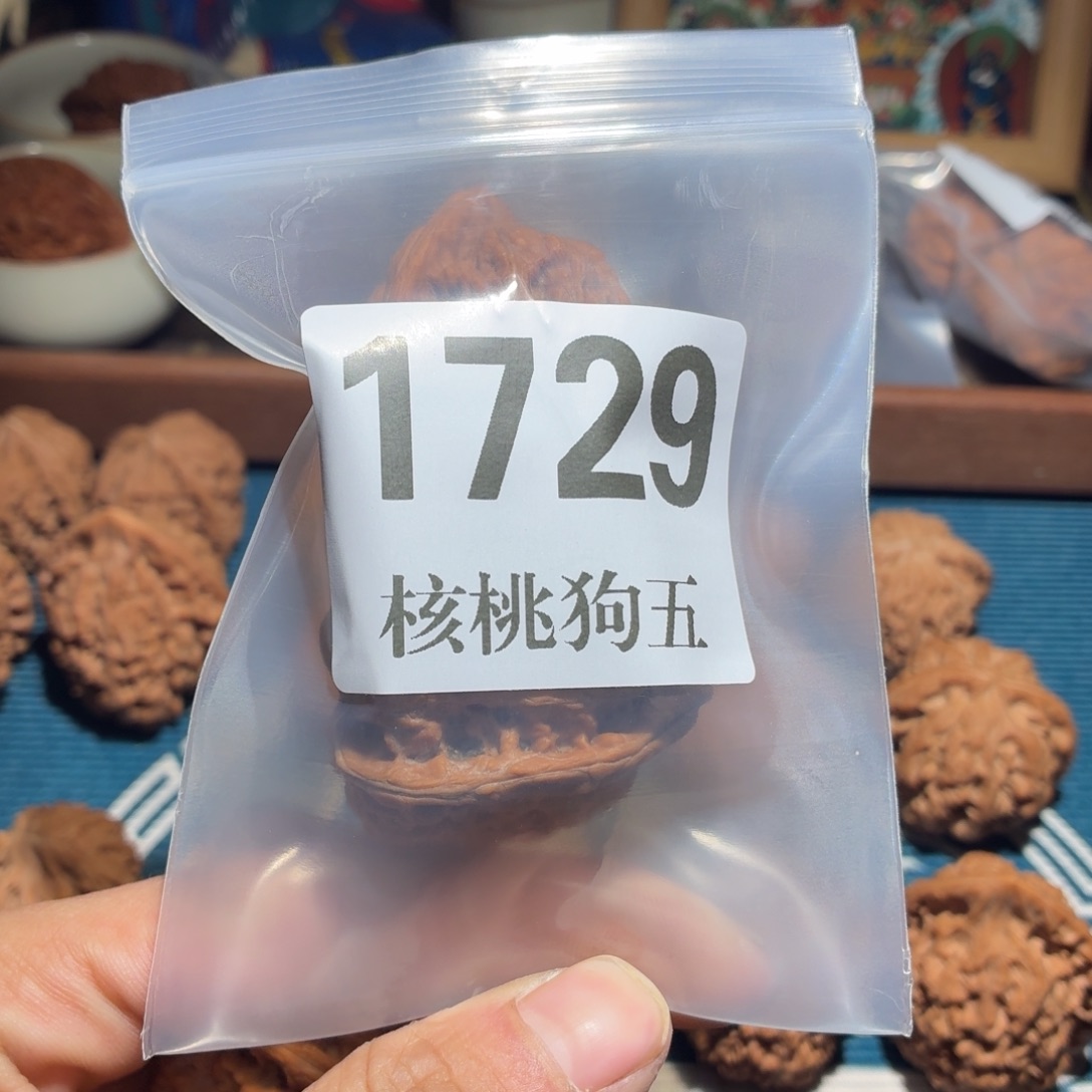 周***王核桃1729赤龙全品