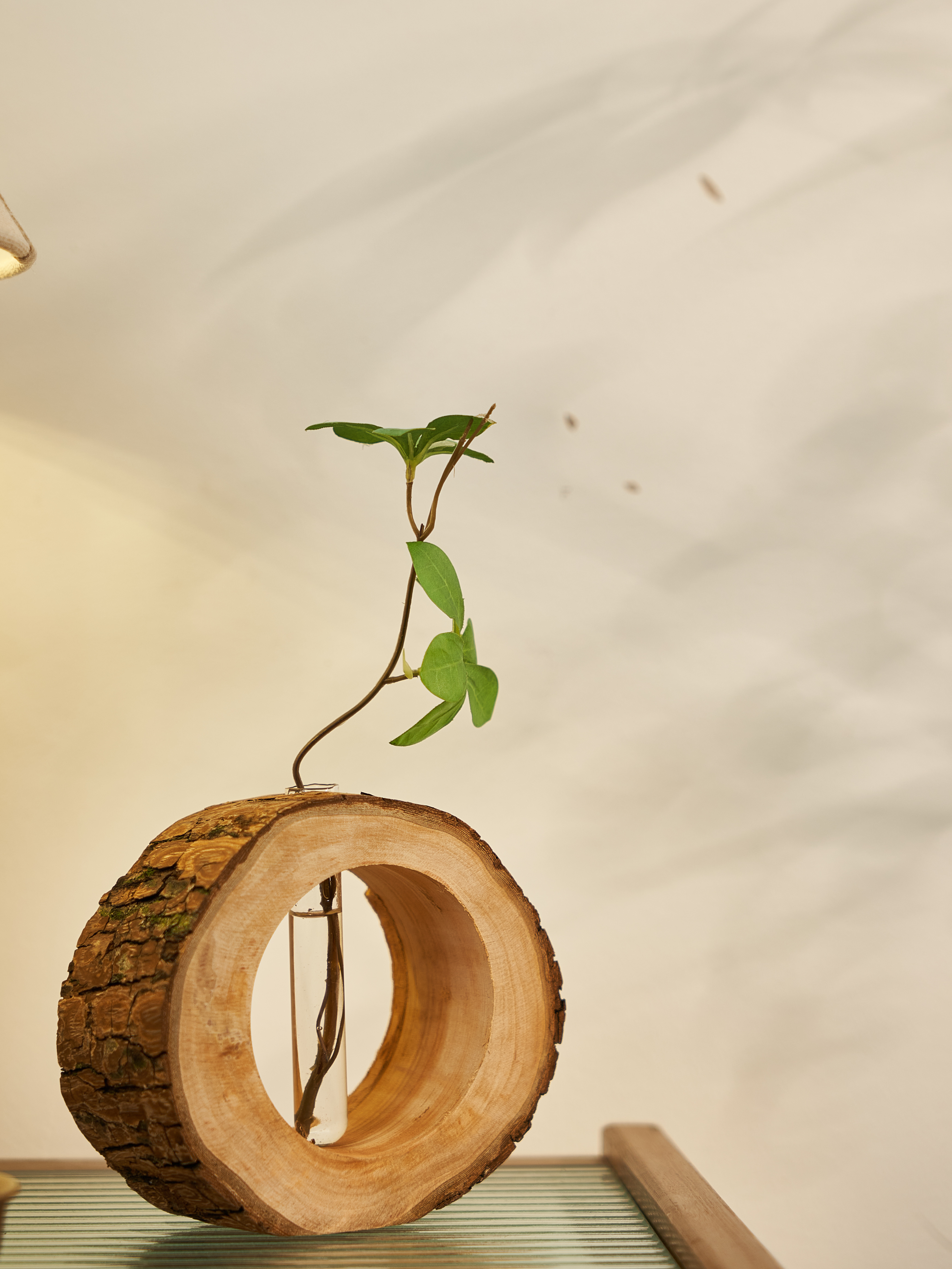 实木中式圆桌花瓶客厅干花摆件复古侘寂风居家民宿装饰田园花园。