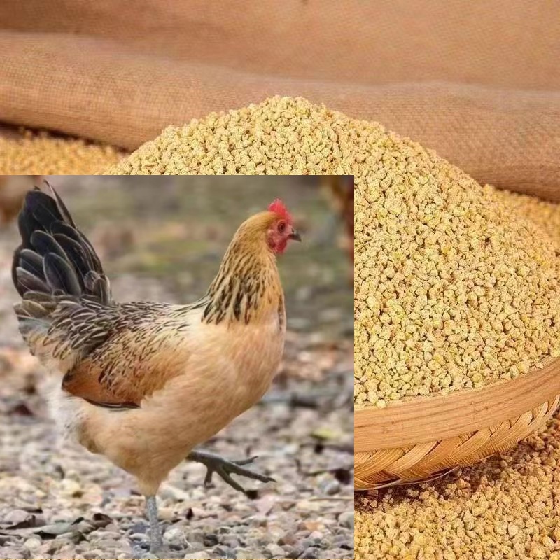 好喂养营养均衡好饲料