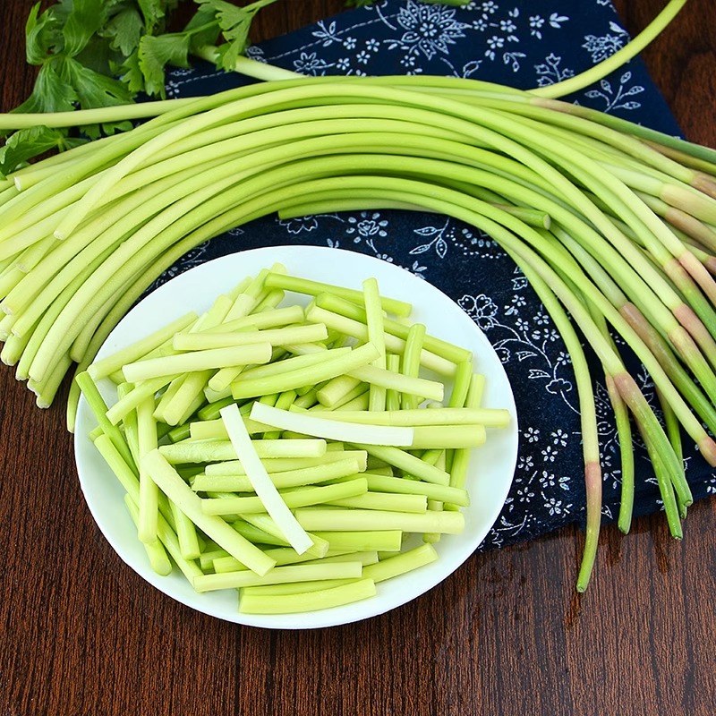 蒜苔新鲜露天现摘农场露天新鲜蒜薹蒜苔蒜毫蒜苗蒜苔现抽当季上市