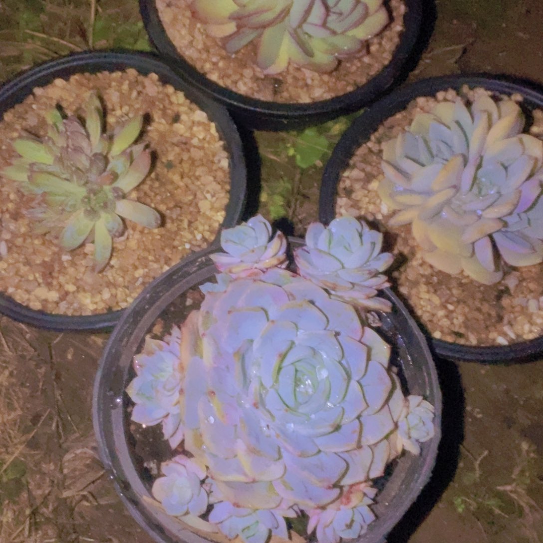 风***行箱拍一单包邮一单