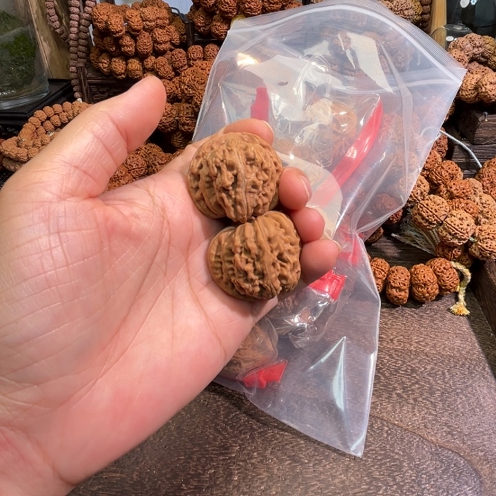 小****吊坠金刚菩提核桃