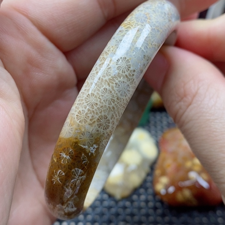 硅化珊瑚（珊瑚玉）颈饰未镶嵌60