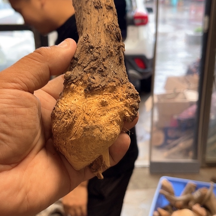 超***乐柏木（崖柏）料555556666
