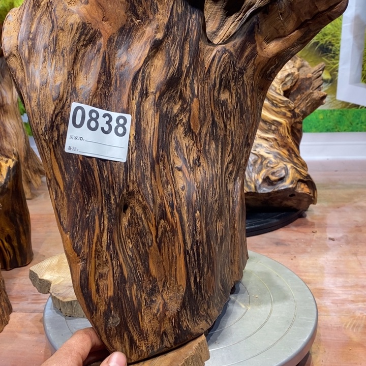 金***汉木我在外面吃饭呢666