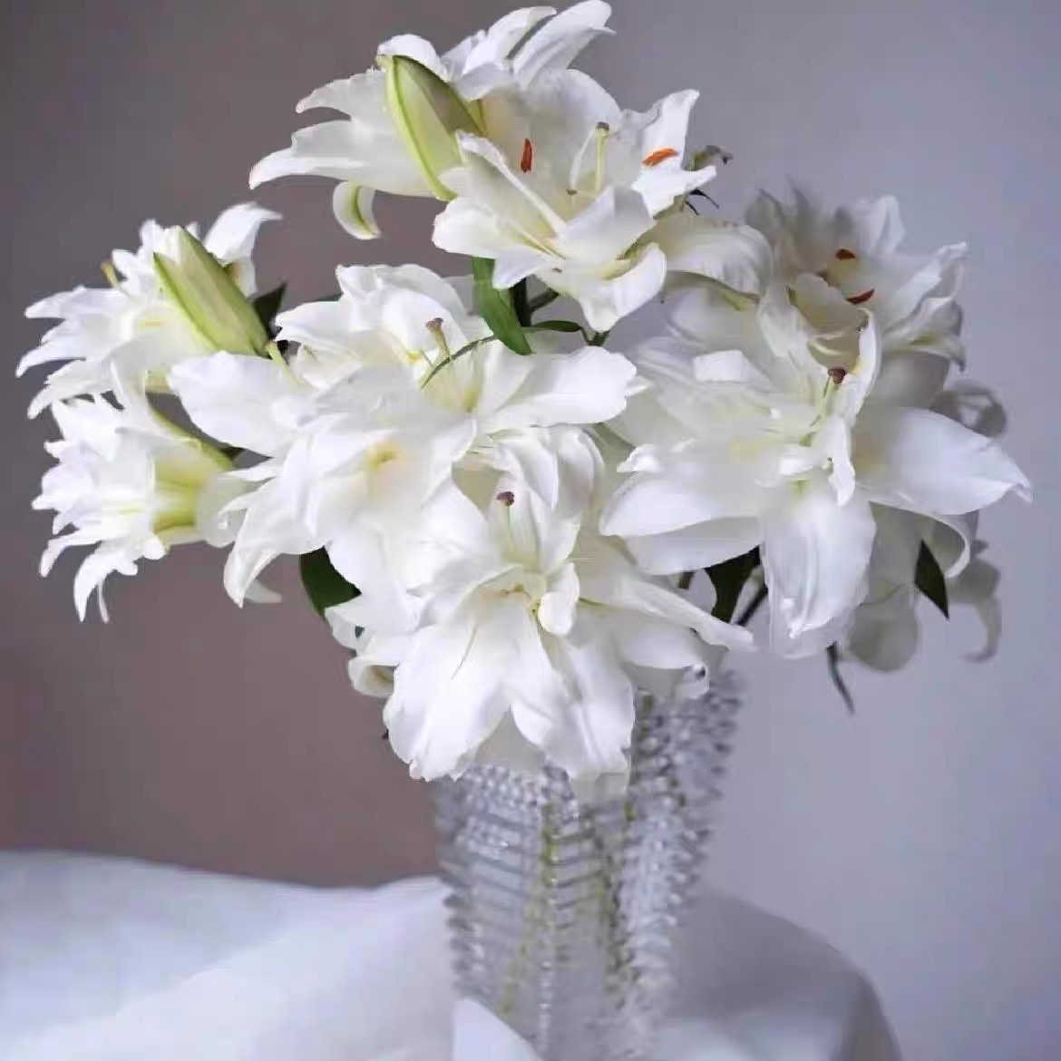 滑雪板重瓣百合 云南基地直发 因为光照原因会有粉边现象介意勿拍