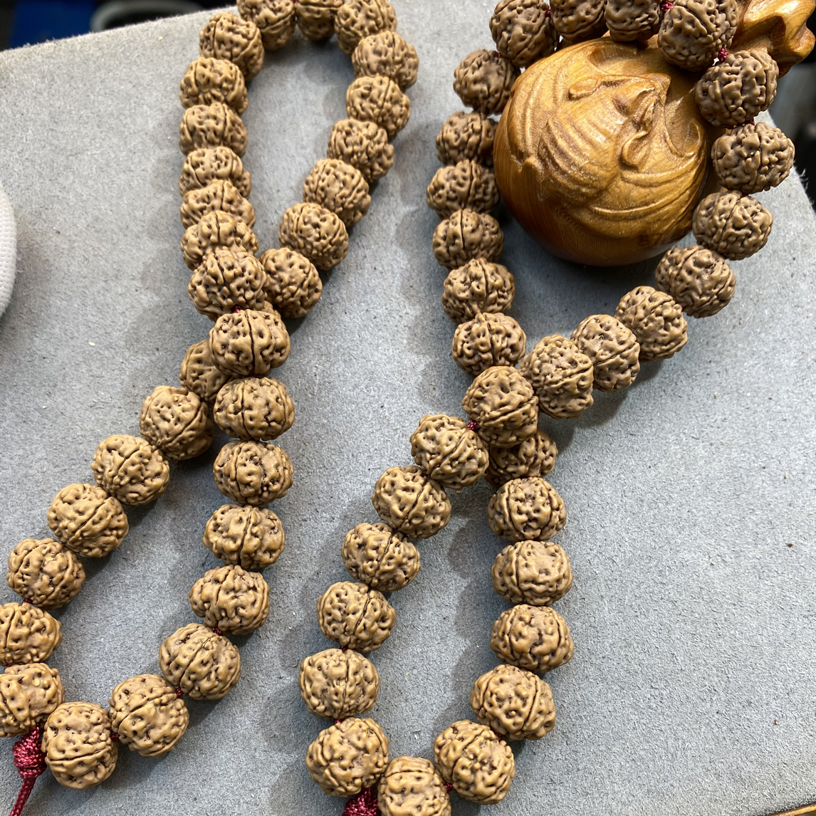 圣姐纯血傲雪花仙五面龙封神榜系列！高龙脊凸显傲雪梅的特征！