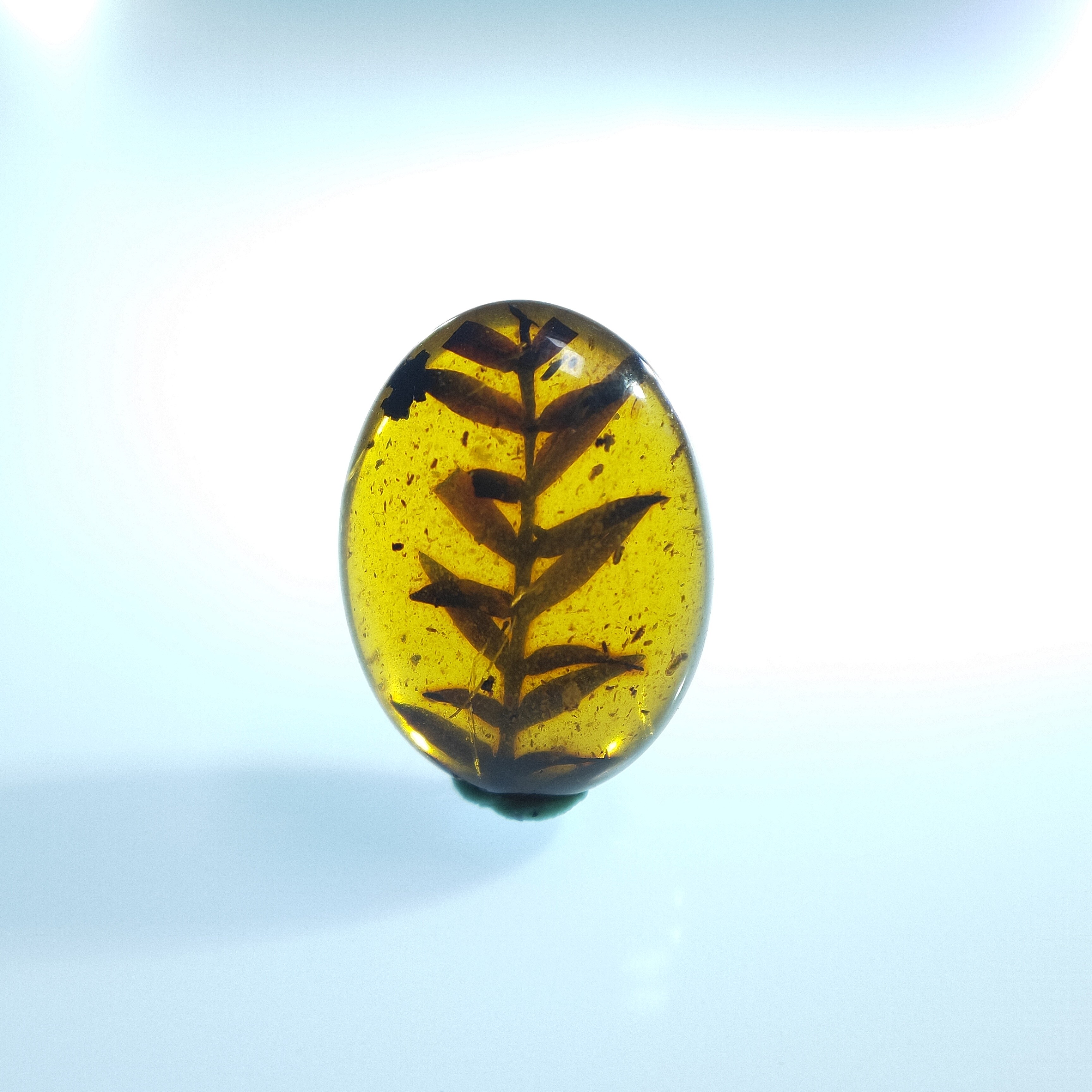 叶子植物天然缅甸琥珀配饰无优化化石原石裸石摆件收藏保真