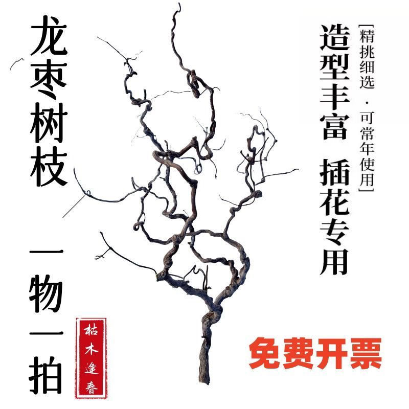 【枝条点这里】龙枣枝天然植物藤条禅意摆件酒店家居艺术装饰干树枝