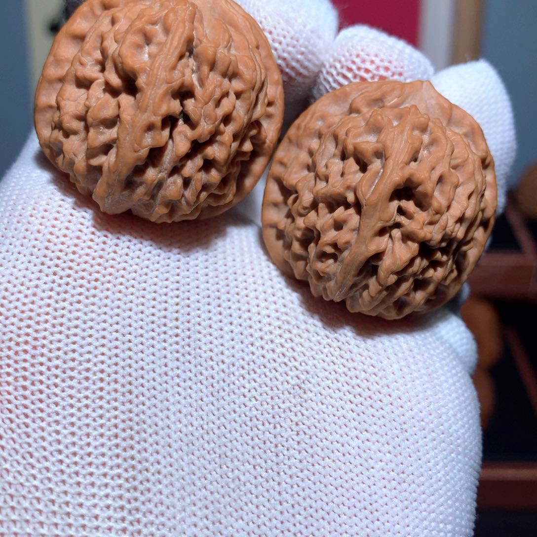 文玩核桃手串野生莲花35