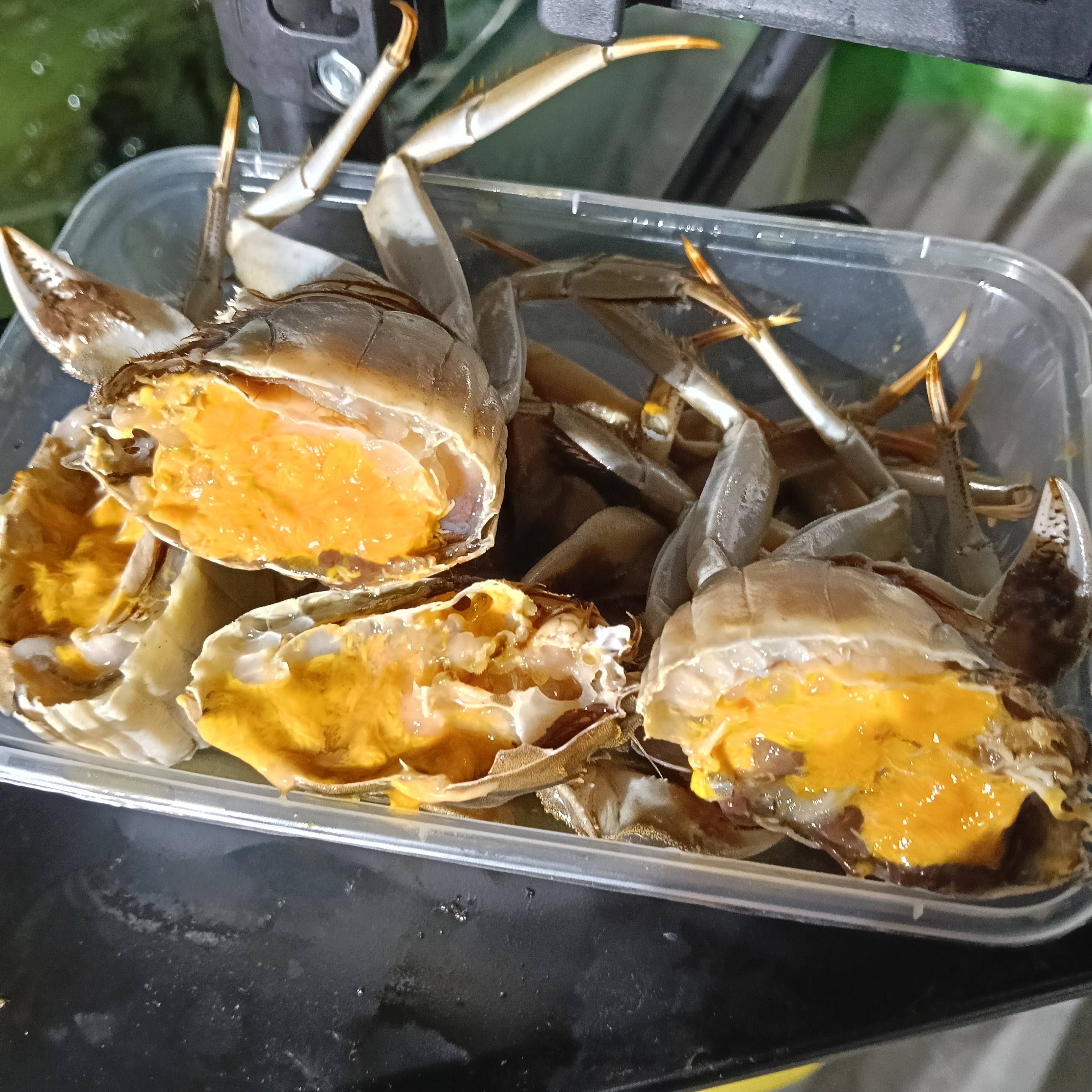 【活蟹】新鲜公蟹4两4只装