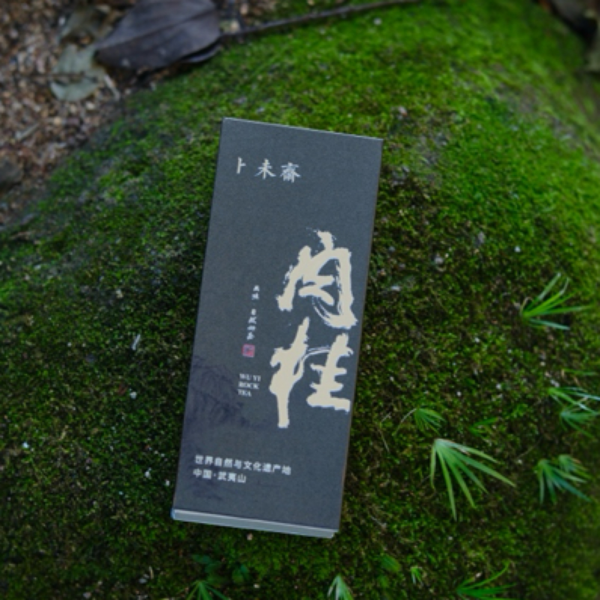 武夷山肉桂 乌龙茶 新品推广