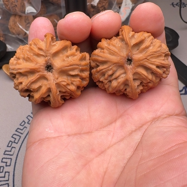 桃核把件山地苹果园40尺25