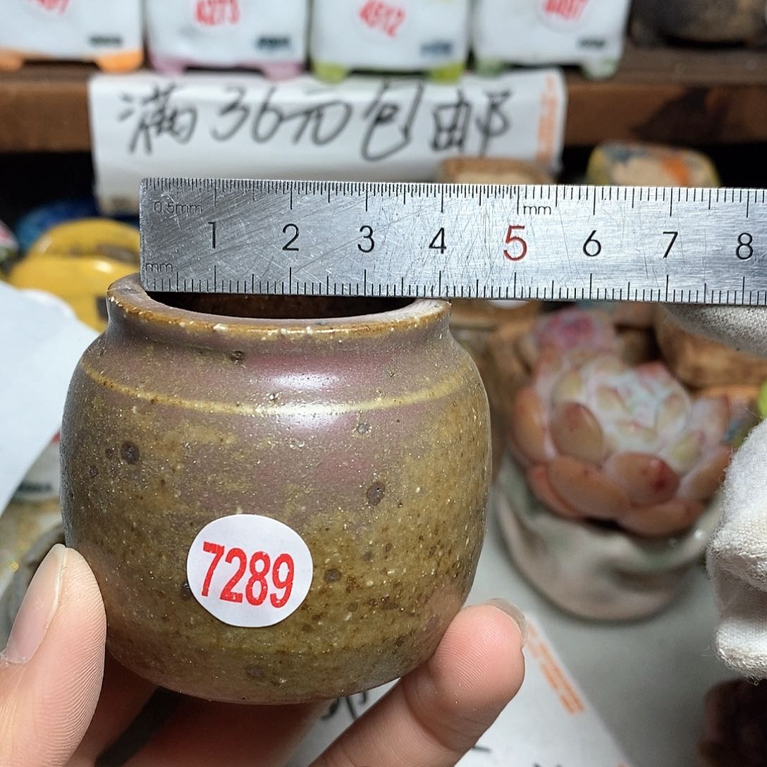 红陶拍5送一个小