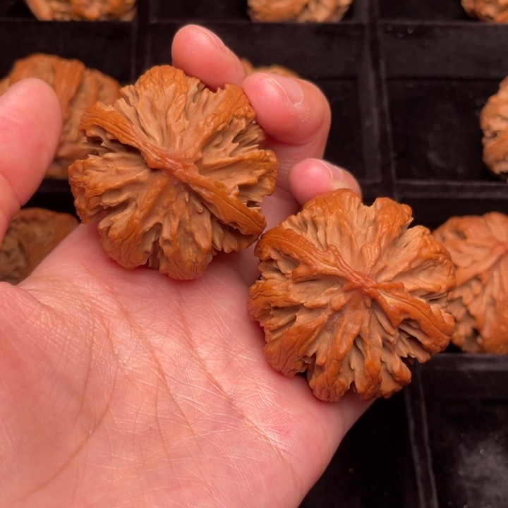 秦岭野生文玩核桃