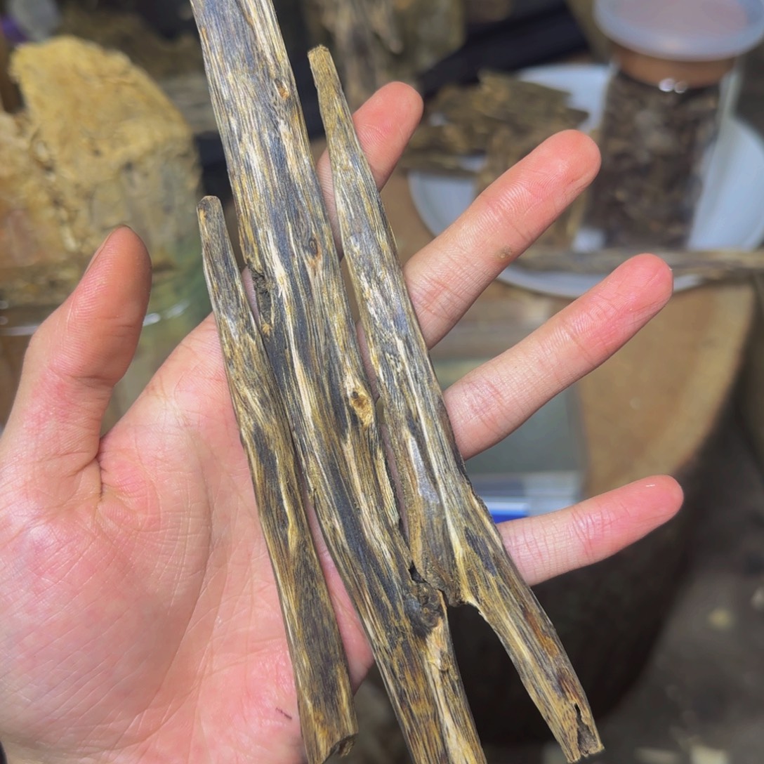 用***2沉香虫漏树心油发一份