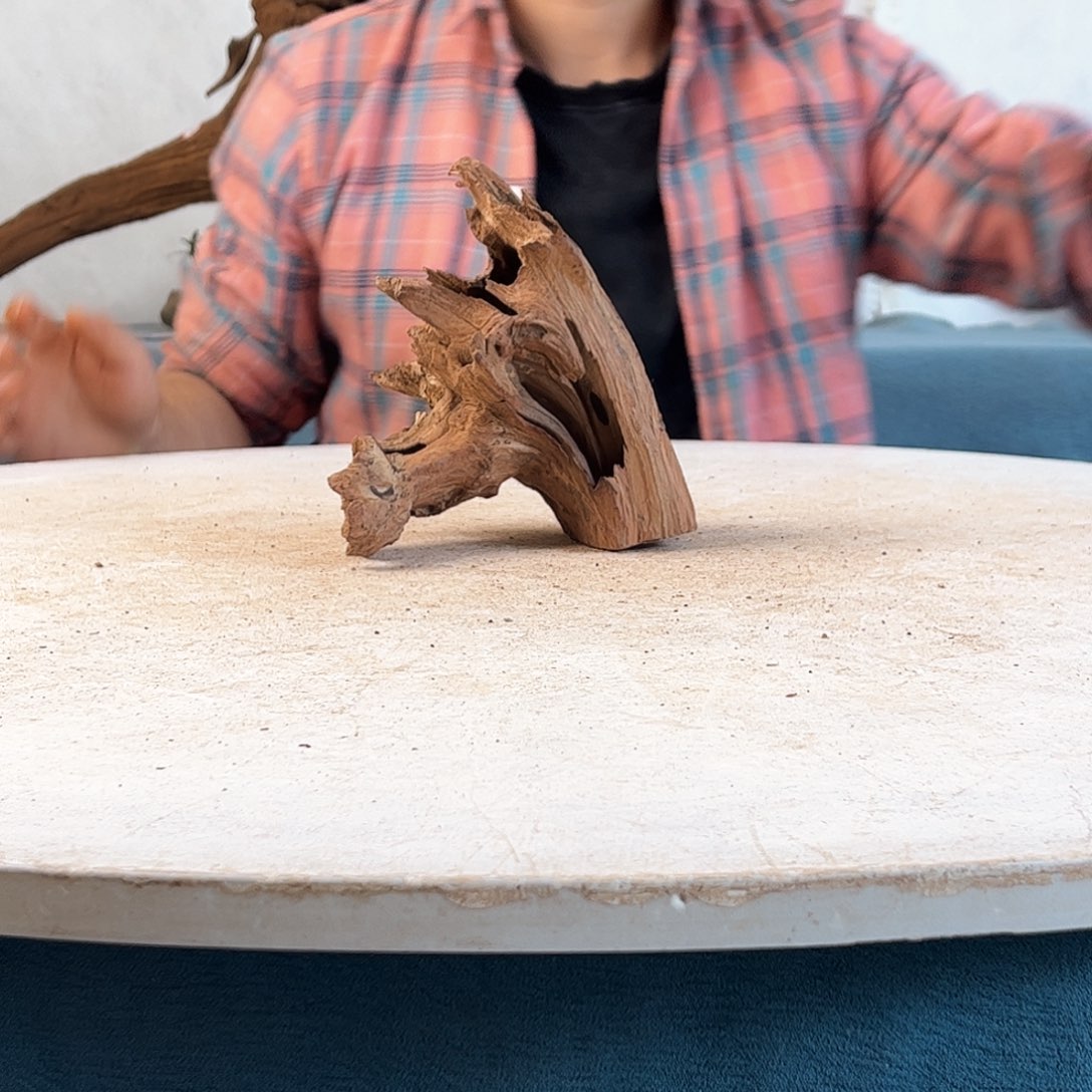 沉木造景寄居蟹景