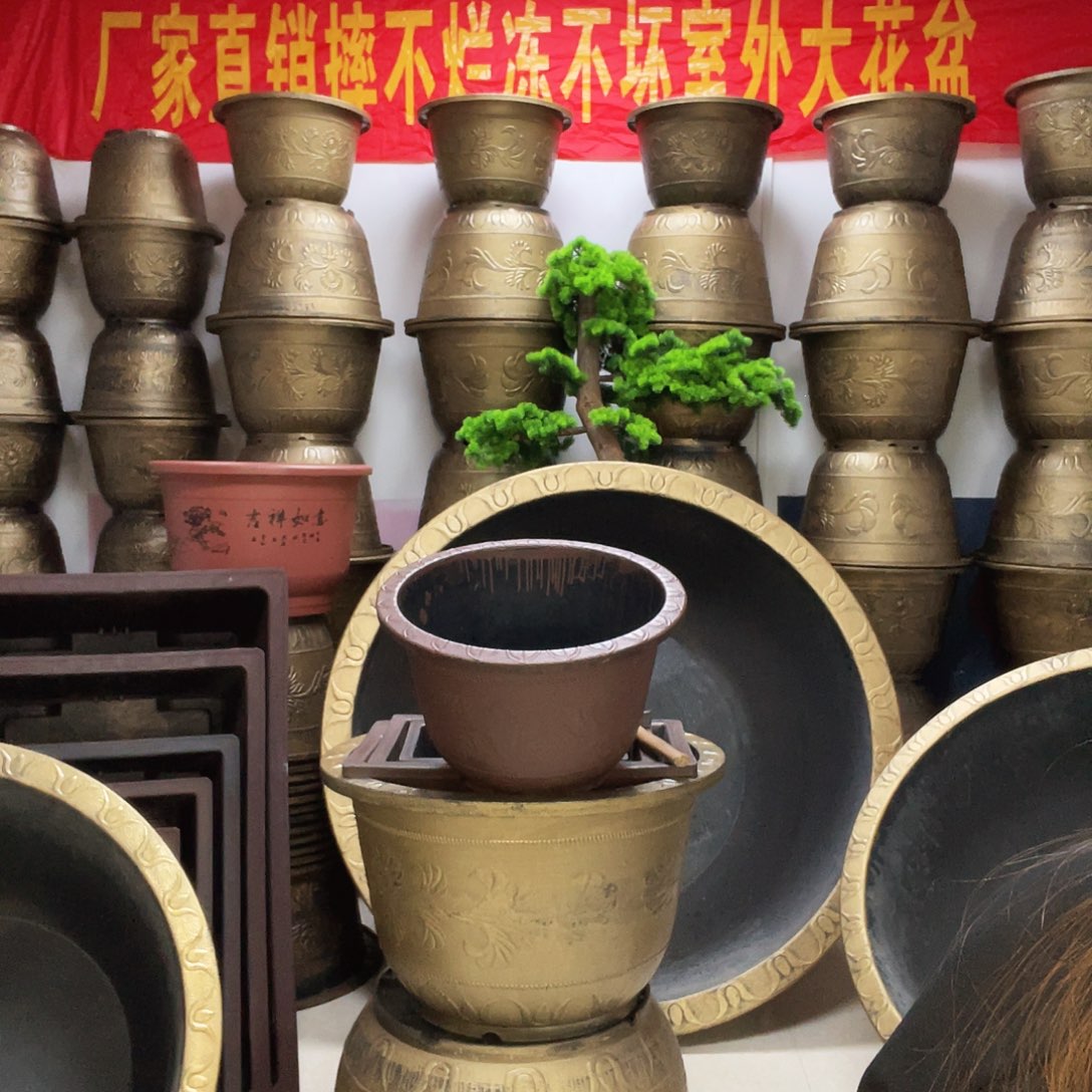 2个一米二盆栽！有孔有孔！