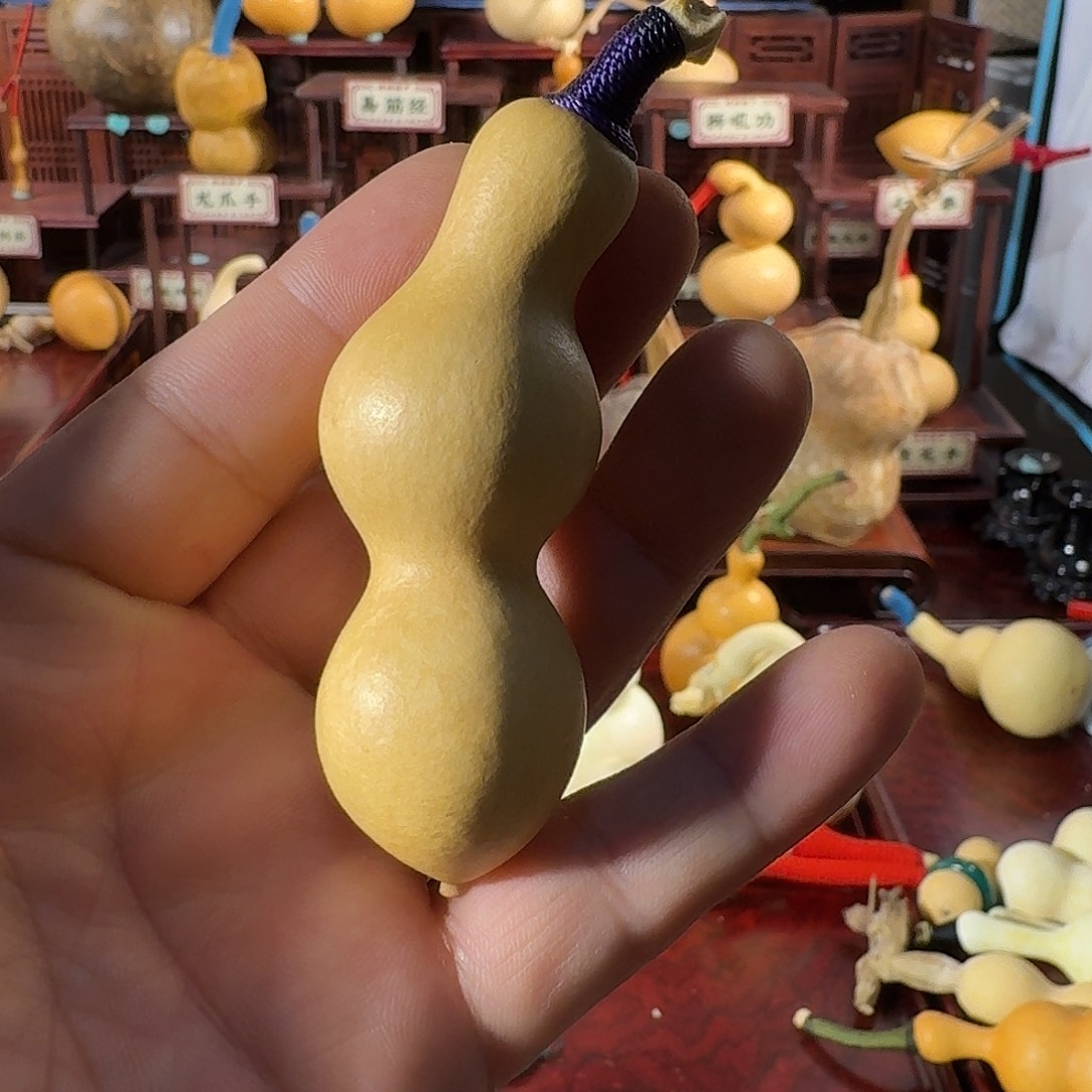 蚂蚁三点一线粗嘴