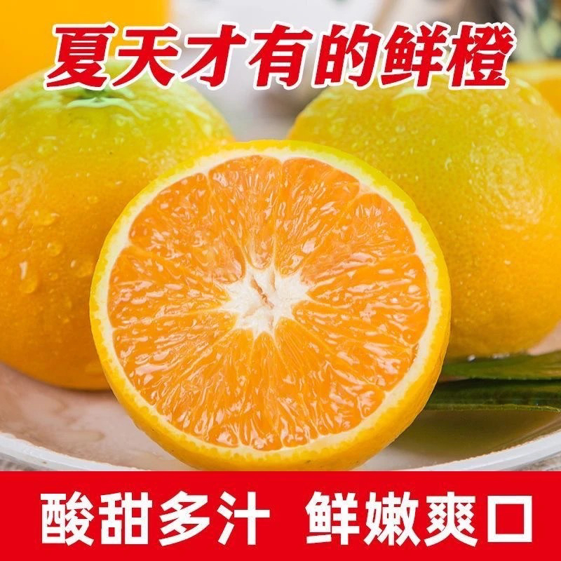 新鲜夏橙当季水果榨汁专用产地直发酸甜可口汁水充足橙子