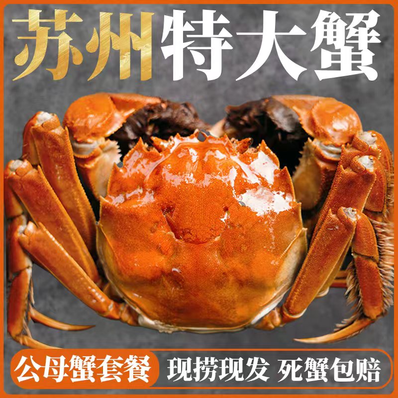 【活蟹】精挑大闸蟹公蟹7.0-6.7两10只鲜活冷链包邮
