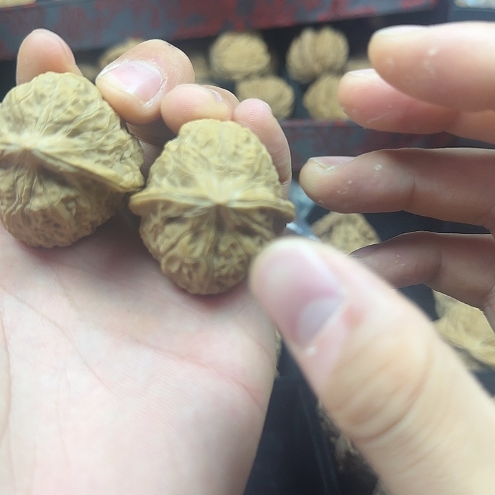 诗***秋龙脊菩提吊坠啊啊啊啊啊啊啊南瓜9