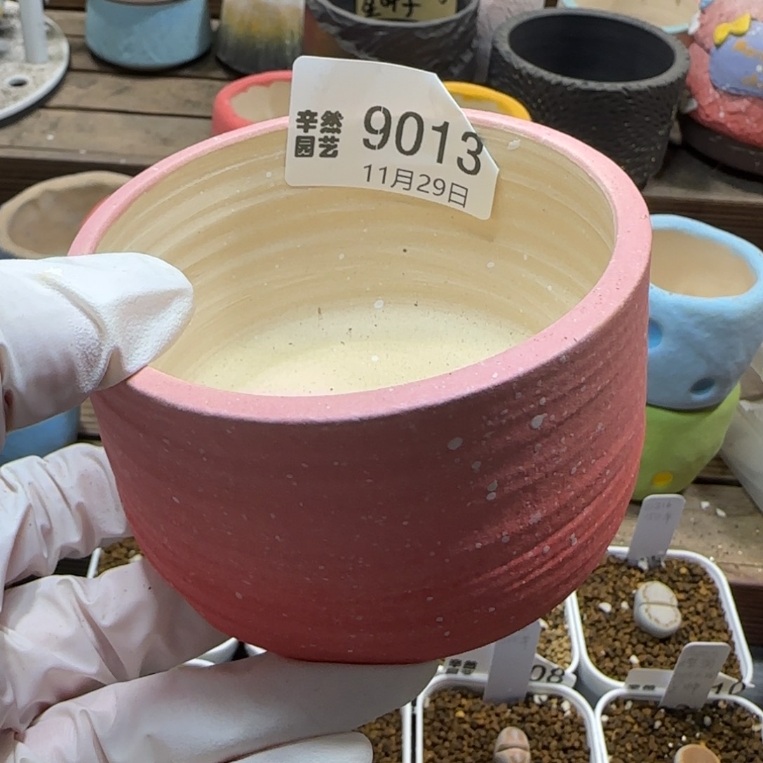 不***～11.29.初恋盆.9013