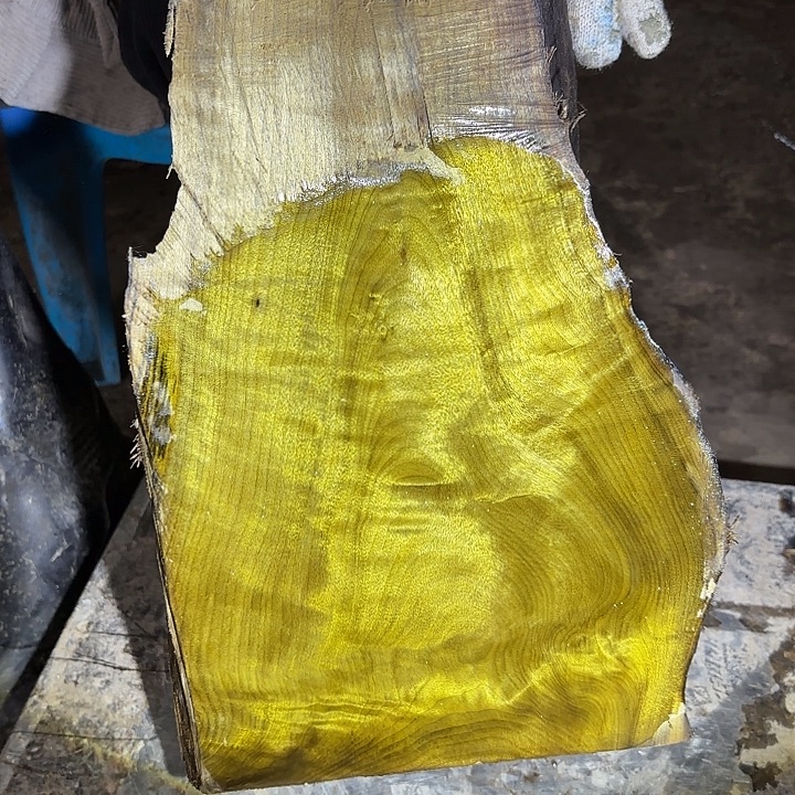 隆***啊啊啊啊啊啊啊啊啊