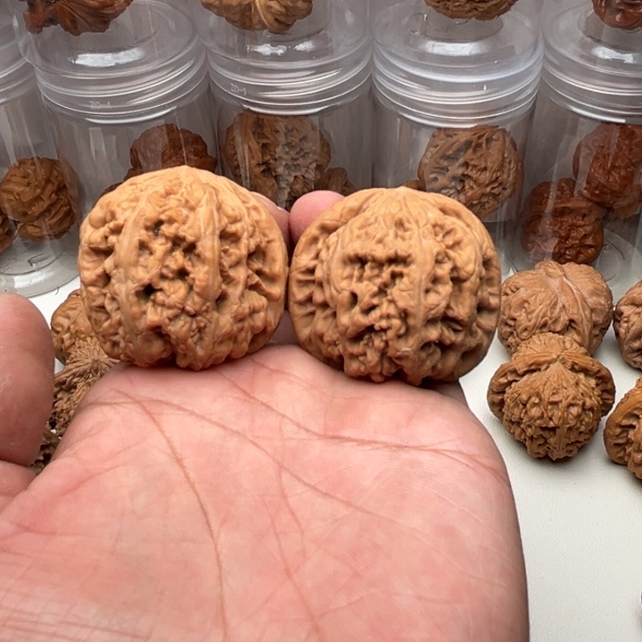 高***库大叶紫檀（黑酸枝木类）