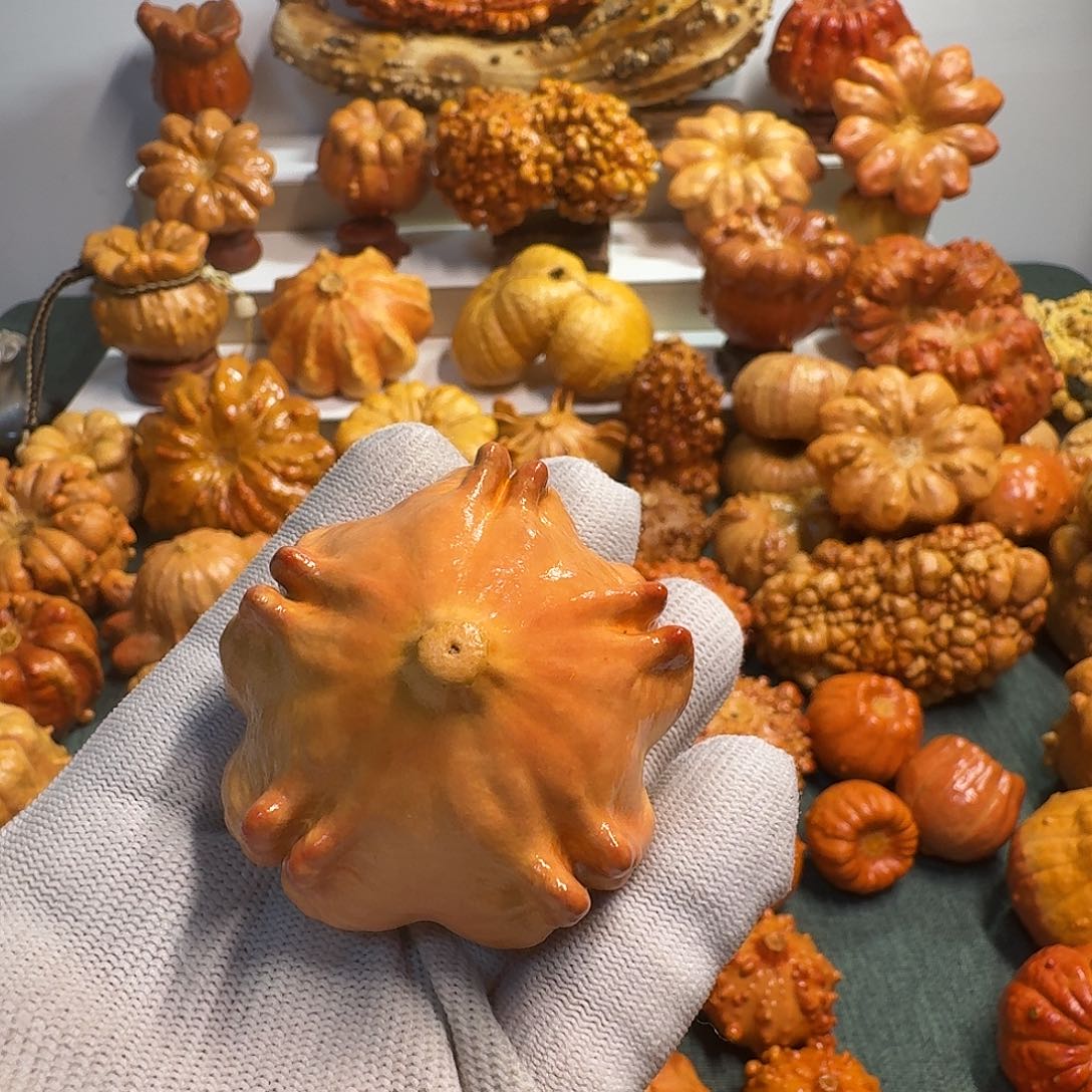 是***啊墨西哥葫芦葫芦瑕疵不退换