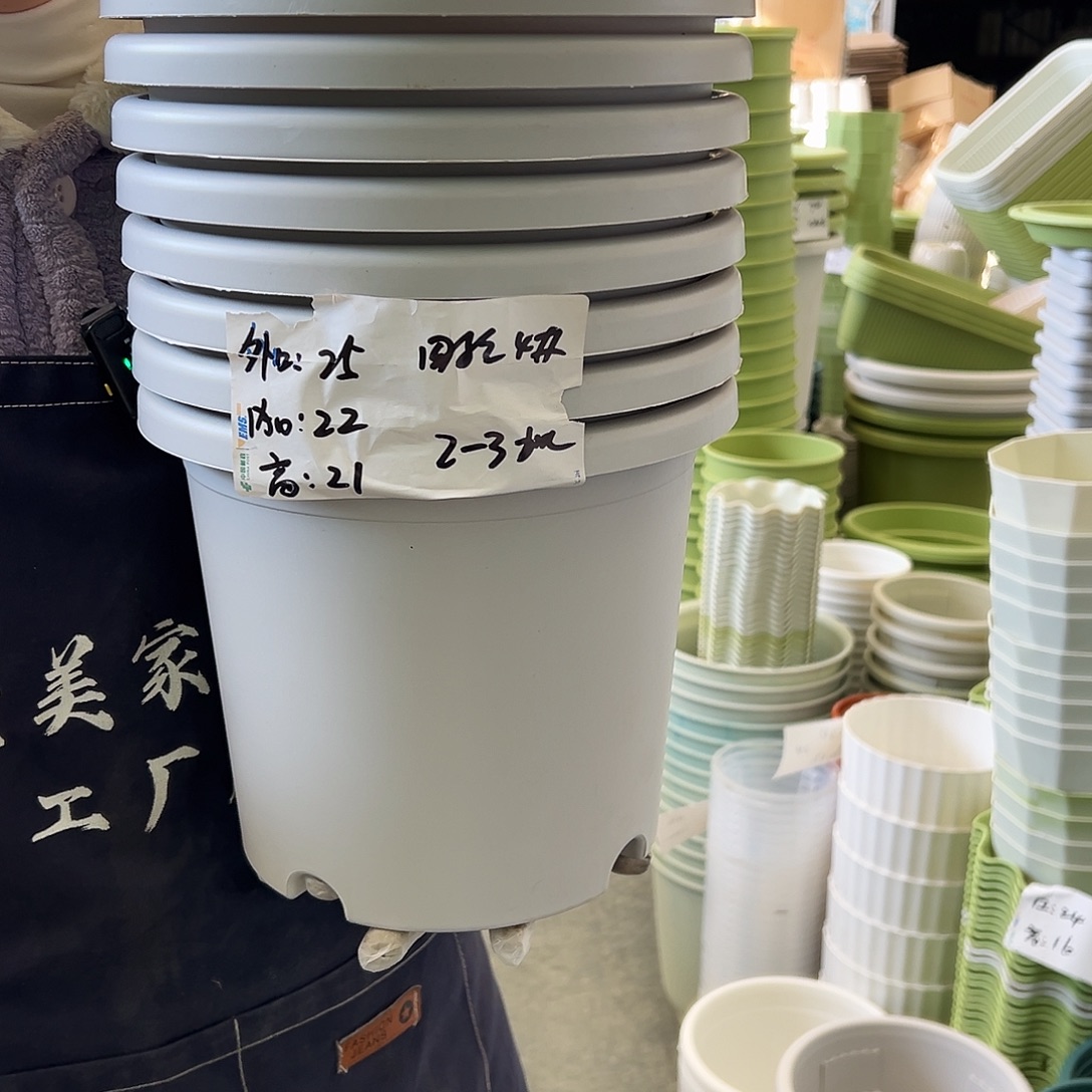 四季盆4#灰白8个无托