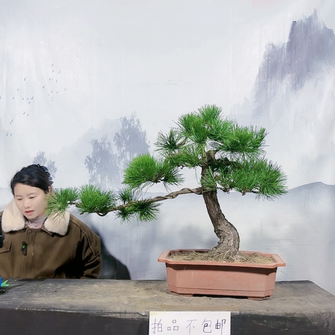 【闪购商品】无花朵运费到付