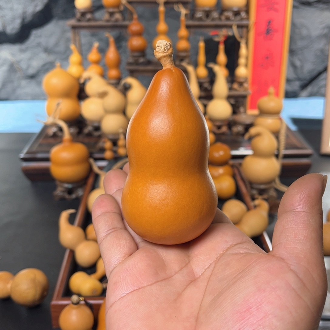 風**山葫芦586588852356688