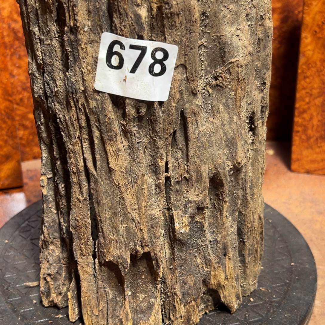 林***师大果紫檀（缅甸花梨）