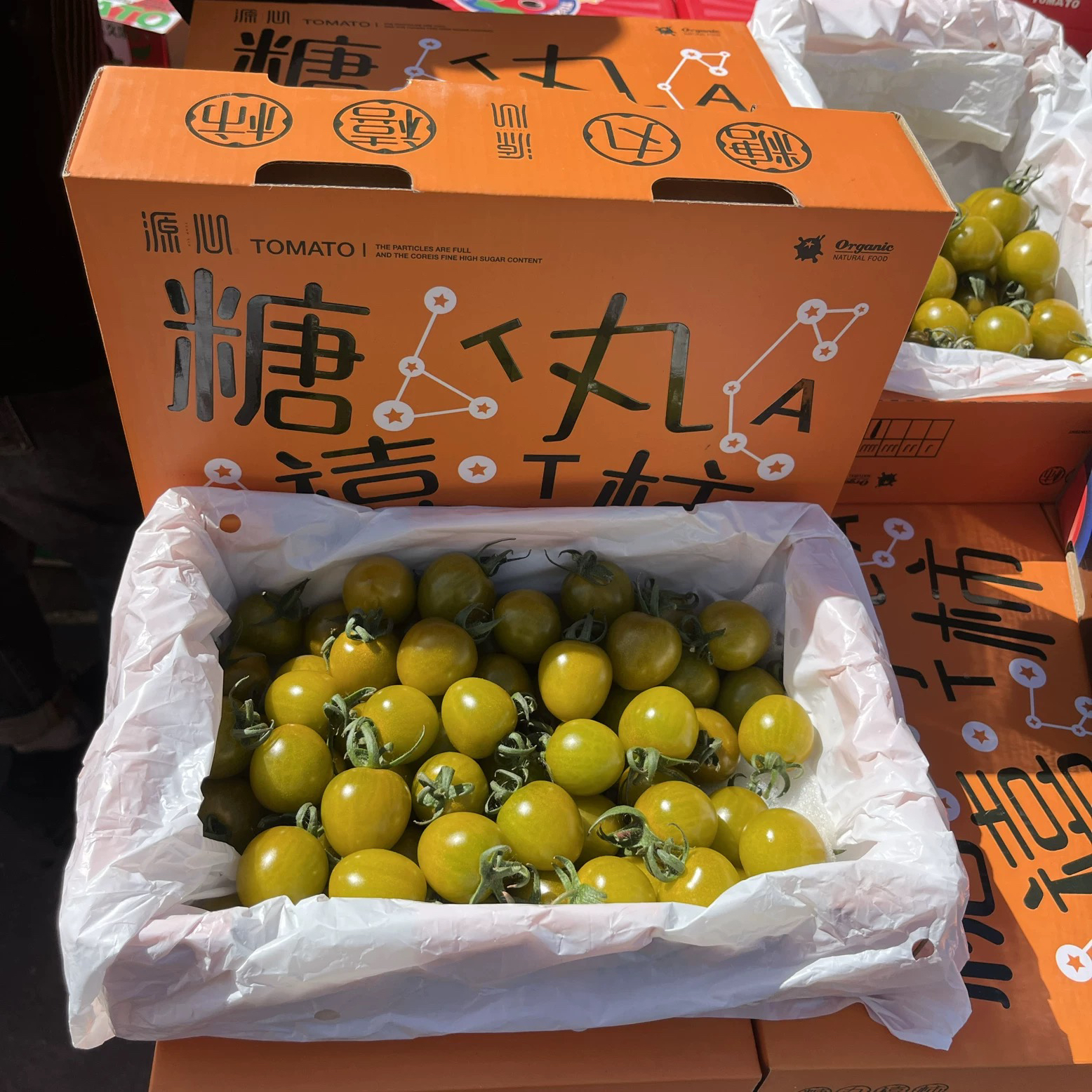 糖珀琥小柿子1箱山东省