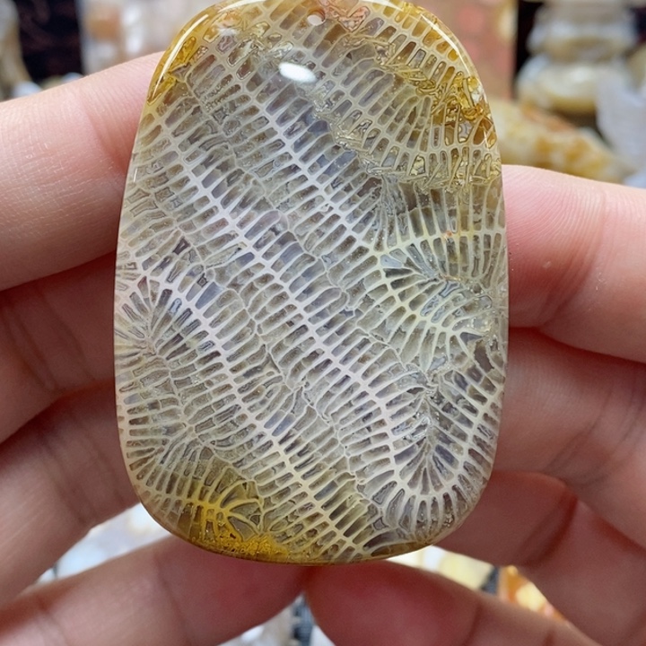 硅化珊瑚（珊瑚玉）颈饰未镶嵌