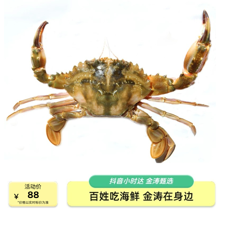 【金涛海鲜】鲜活大花蟹/大赤甲红/大石头蟹 1斤88   跑腿发货