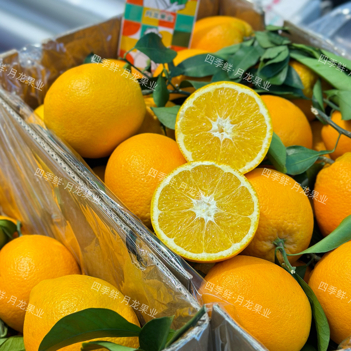 果切【九甜一酸】赣南脐橙1盒 500g