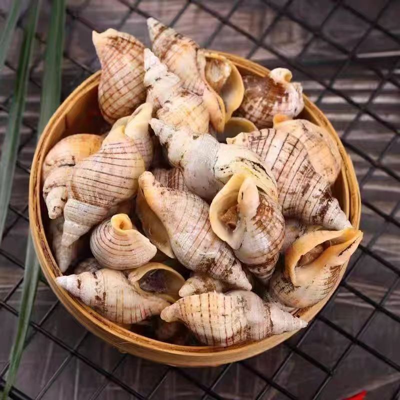 【小时达】红枣螺3斤