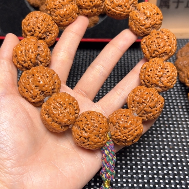 手串金刚菩提26霸王龙